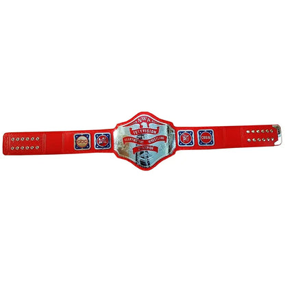 NWA Television Heavyweight Wrestling Championship Replica title Belt