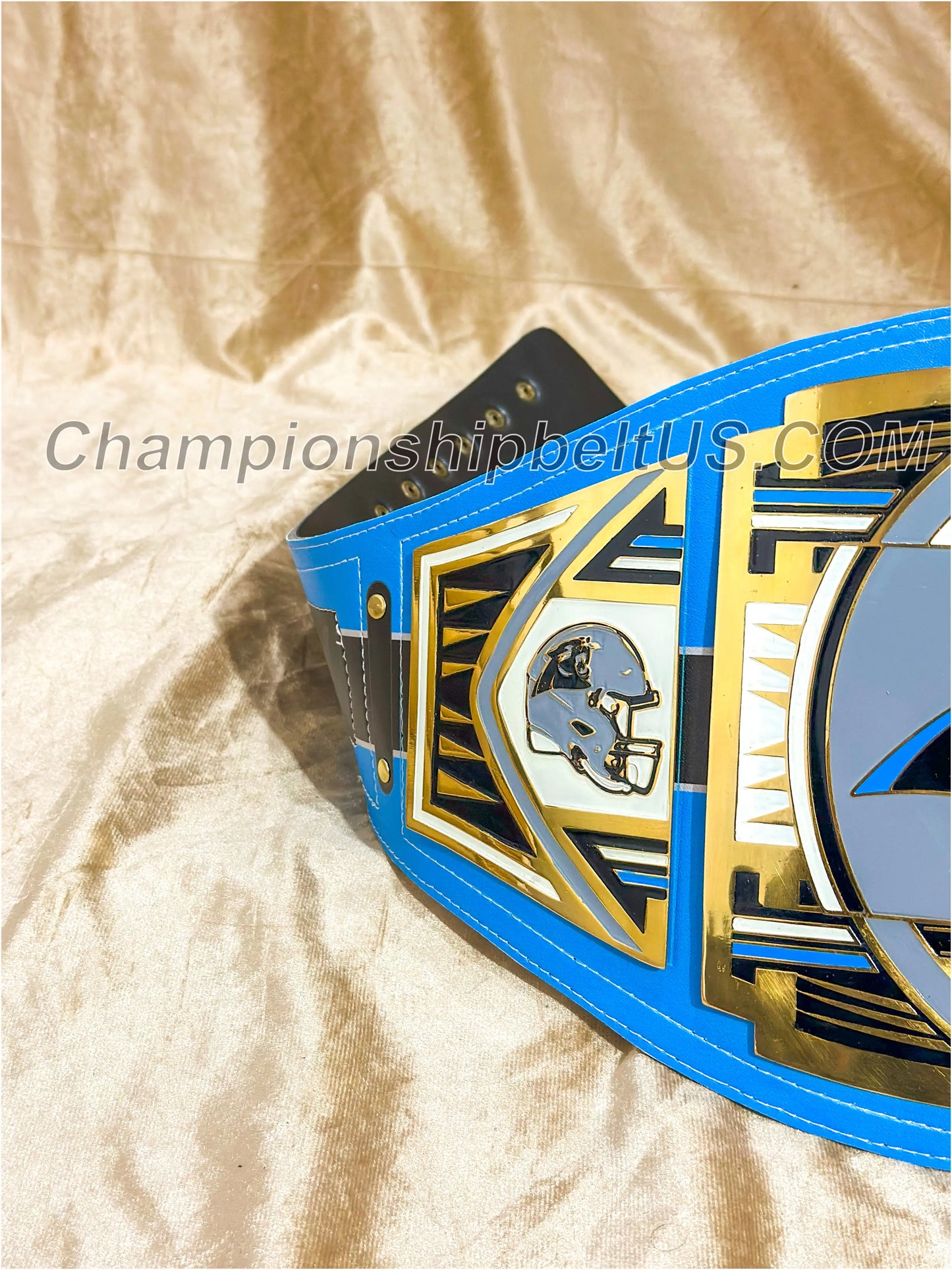 Carolina Panthers Legacy Replica
