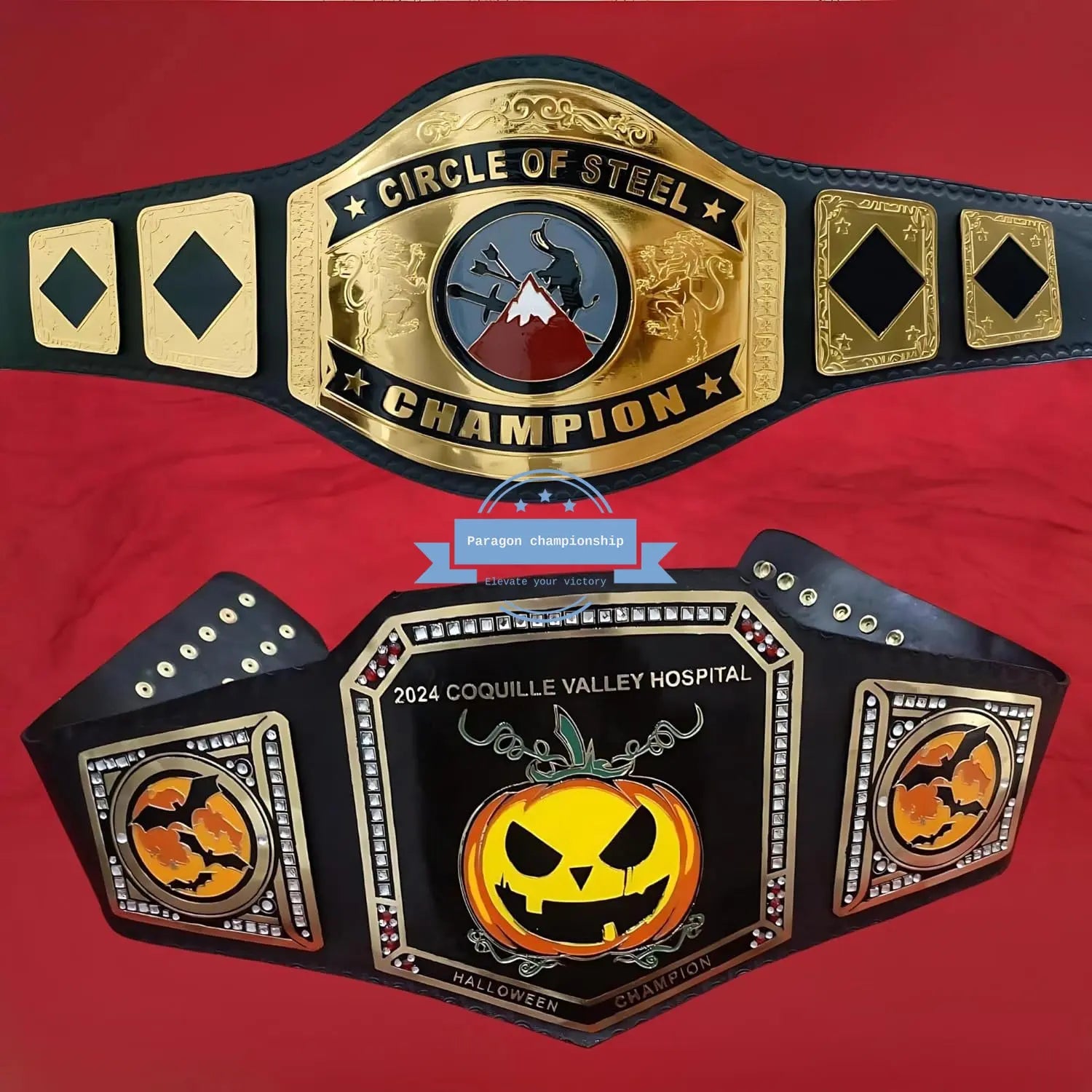 Build Your Own Custom 4lb Heavyweight Wrestling Title Belt – Fully Customizable